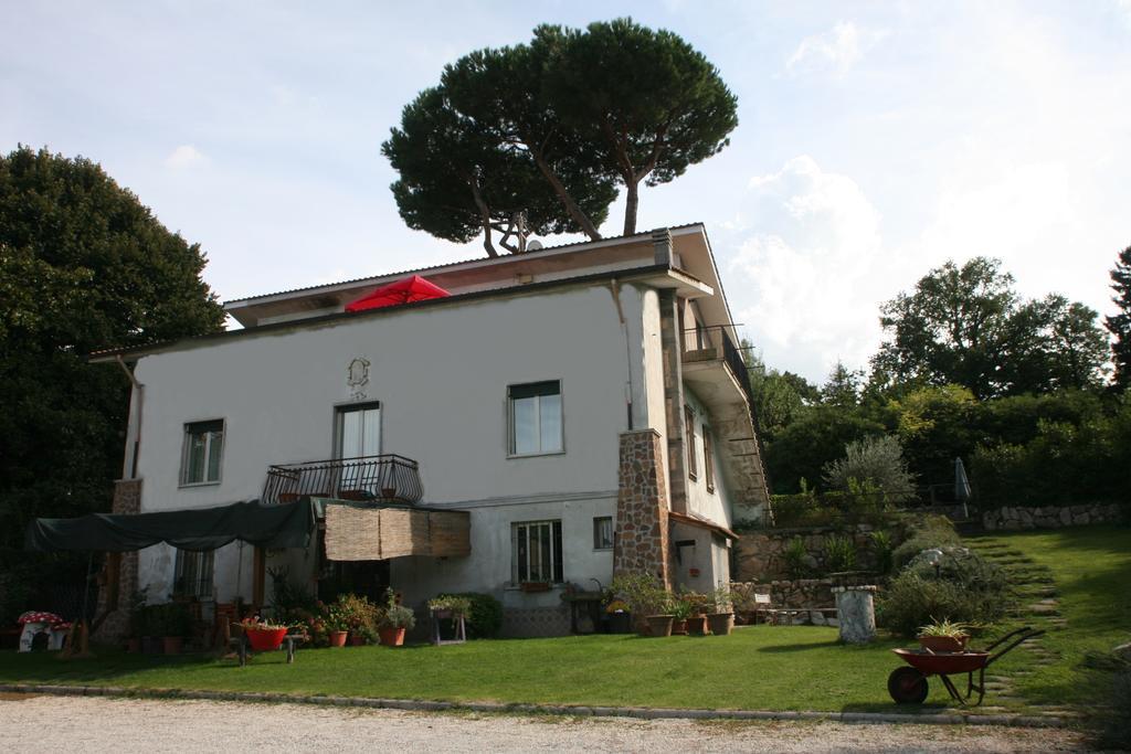 Patrian Bed and Breakfast Grottaferrata Exteriör bild